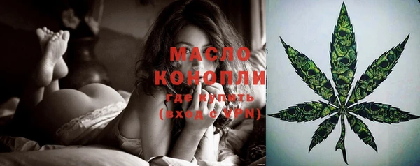 метадон Няндома