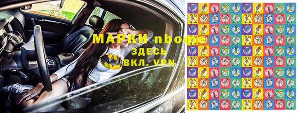 метадон Няндома