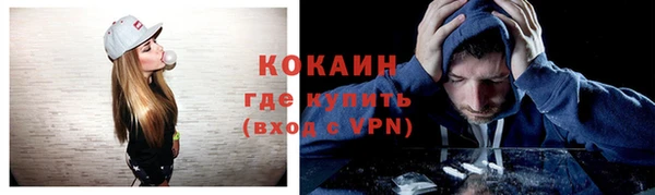 метадон Няндома