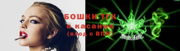 метадон Няндома
