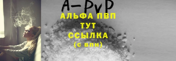 молекула духа Новозыбков