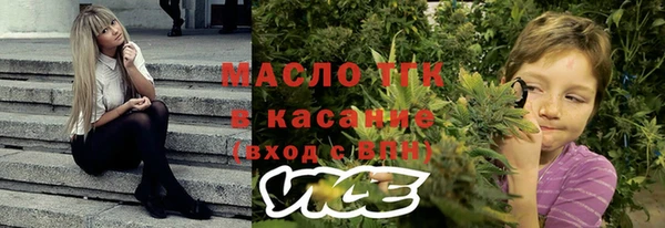 метадон Няндома