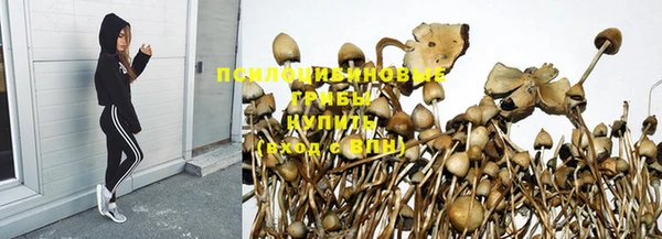 метадон Няндома