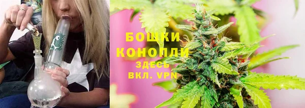 метадон Няндома