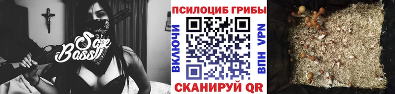 сколько стоит  Белёв  Псилоцибиновые грибы Psilocybine cubensis 